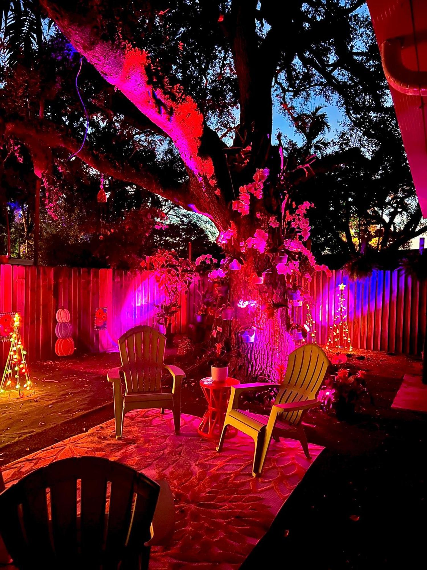 Private Guest House Miami Dış mekan fotoğraf