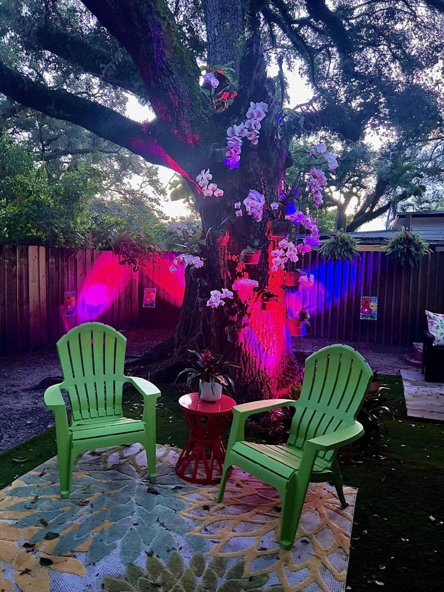 Private Guest House Miami Dış mekan fotoğraf